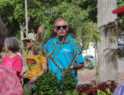 How’s It Growin’? Garden Talk series continues Sept. 21 with A Celebration of Herbs