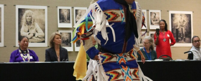 A dancer in traditional garb is photographed while dancing.